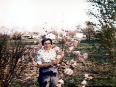 Julia (Judy) Kish Dorrough
